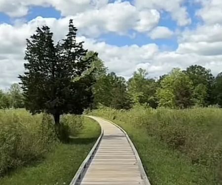 Beige Trail