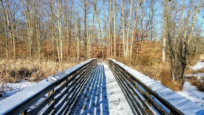 Great Swamp National Wildlife Refuge Wilderness Picture 2