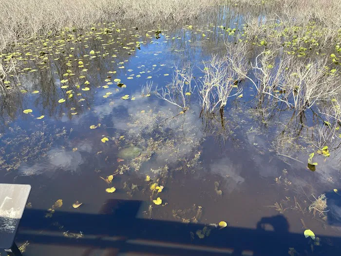 Great Swamp National Wildlife Refuge Wilderness Picture 1