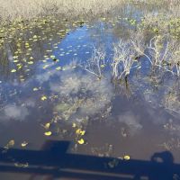 Great Swamp National Wildlife Refuge Wilderness ico
