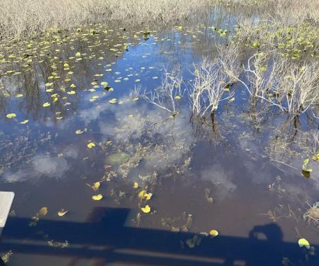 Great Swamp National Wildlife Refuge Wilderness