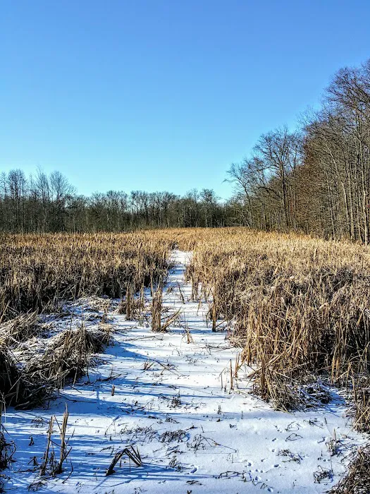 Great Swamp National Wildlife Refuge Wilderness Picture 4