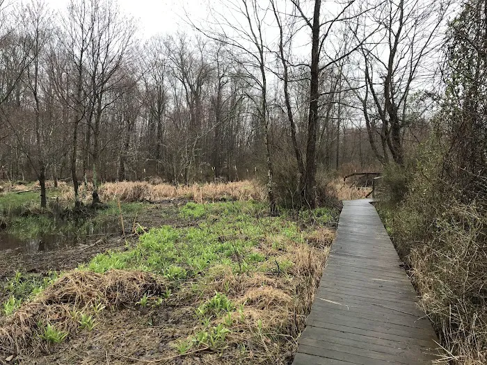 Great Swamp National Wildlife Refuge Wilderness Picture 10