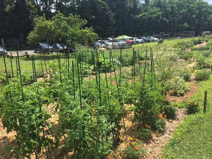 ValleVue Morristownship Community Garden Picture 5