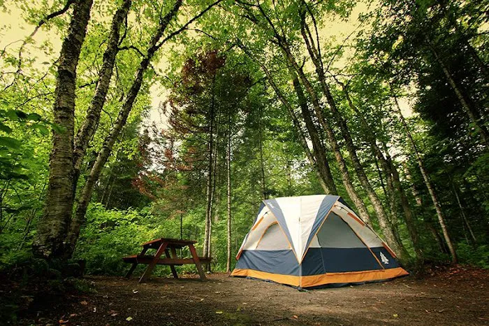 Woodland Trails Picture 1