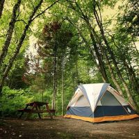 Woodland Trails ico