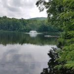 Tall Timbers Property Owners Association