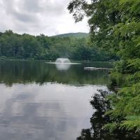 Tall Timbers Property Owners Association ico