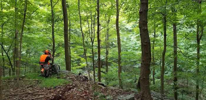 Pochuck Mountain State Forest Picture 10