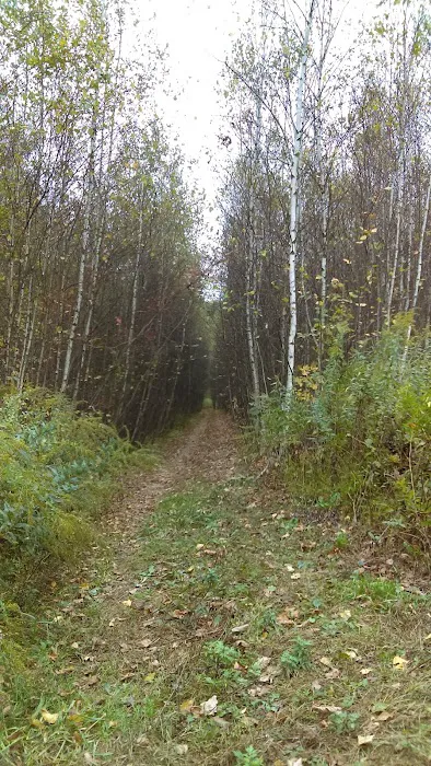 Pochuck Mountain State Forest Picture 7