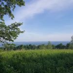 Pochuck Mountain State Forest