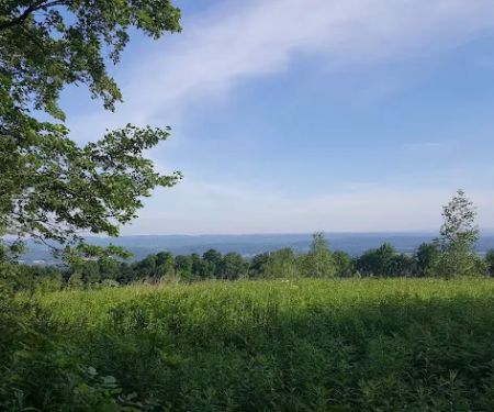 Pochuck Mountain State Forest