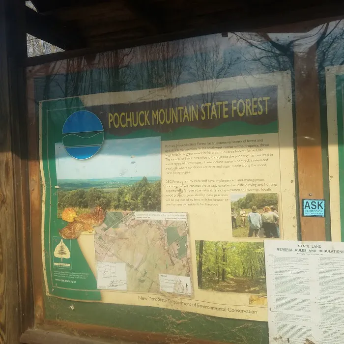 Pochuck Mountain State Forest Picture 9