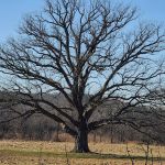 Heritage Trail - Goshen