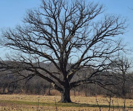 Heritage Trail - Goshen