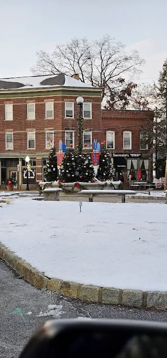 Goshen Christmas Tree Picture 1
