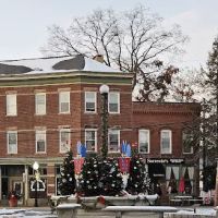 Goshen Christmas Tree ico