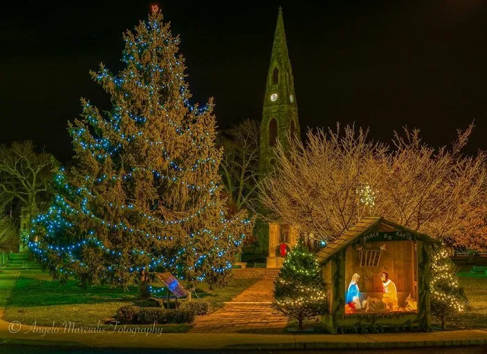 Goshen Christmas Tree Picture 8