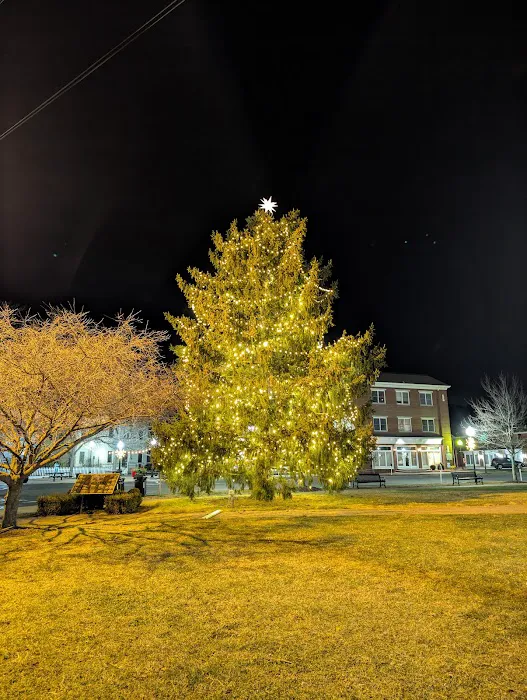 Goshen Christmas Tree Picture 5