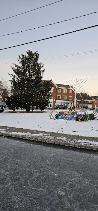 Goshen Christmas Tree Picture 3
