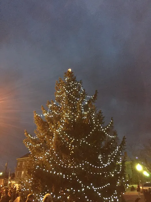 Goshen Christmas Tree Picture 4