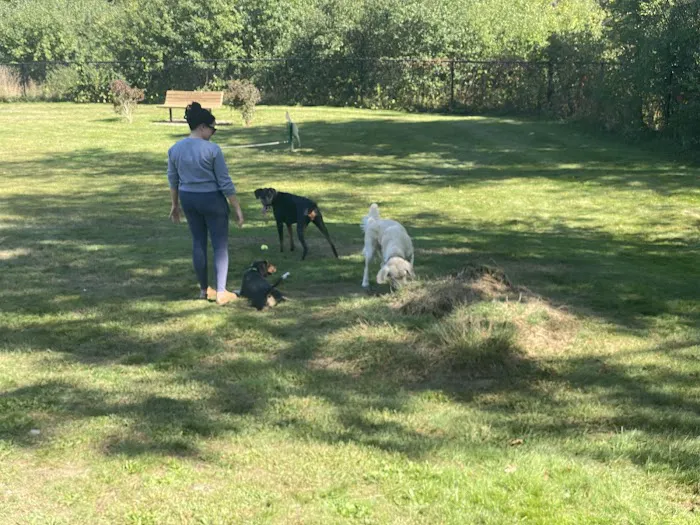 Goshen Dog Park Picture 3