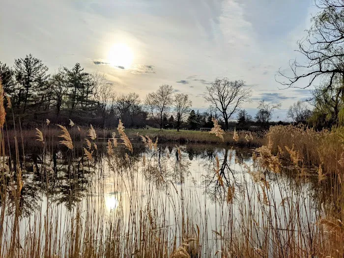 Goshen Dog Park Picture 1