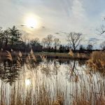 Goshen Dog Park