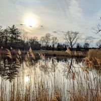 Goshen Dog Park ico