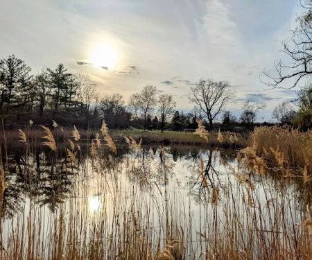 Goshen Dog Park