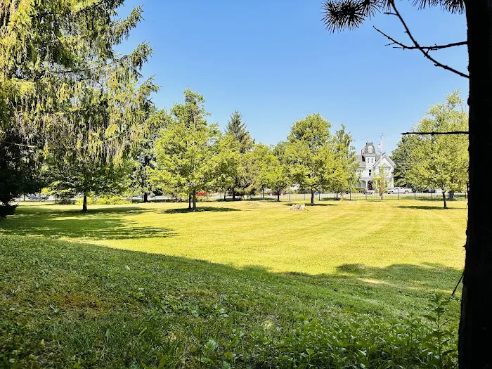 Goshen Dog Park Picture 4
