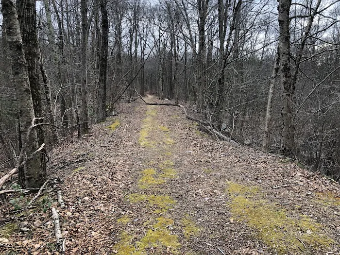 Ogden Mine Railroad Trail Access Picture 6