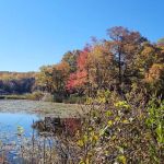 Heaters Pond Park
