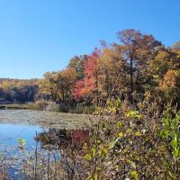 Heaters Pond Park ico