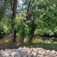 Borough of Hamburg Riverbank Park ico