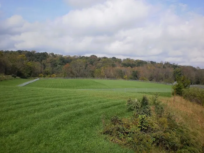 Hamburg Park and Recreation Fields Picture 2