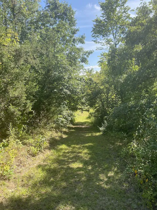 Dagmar Dale Loop Trail Picture 6