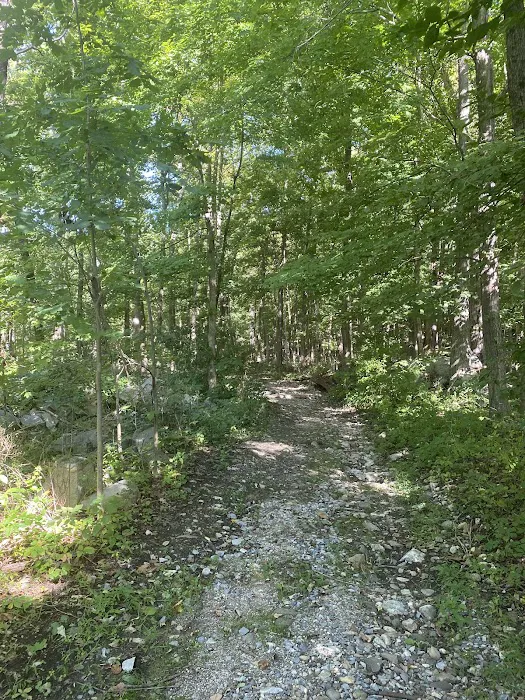 Dagmar Dale Loop Trail Picture 1
