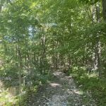 Dagmar Dale Loop Trail