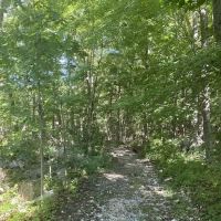 Dagmar Dale Loop Trail ico
