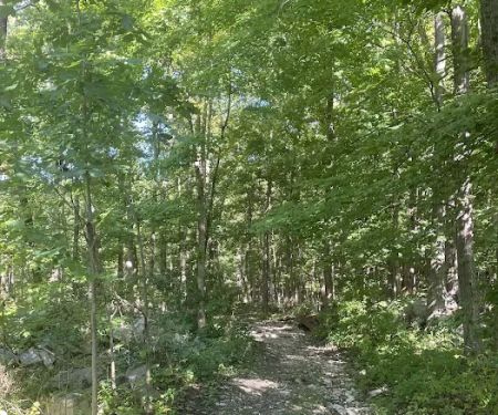 Dagmar Dale Loop Trail