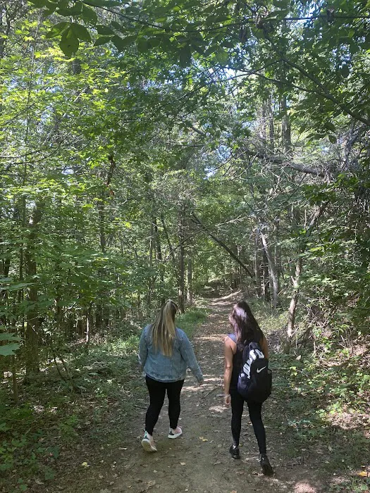 Dagmar Dale Loop Trail Picture 9