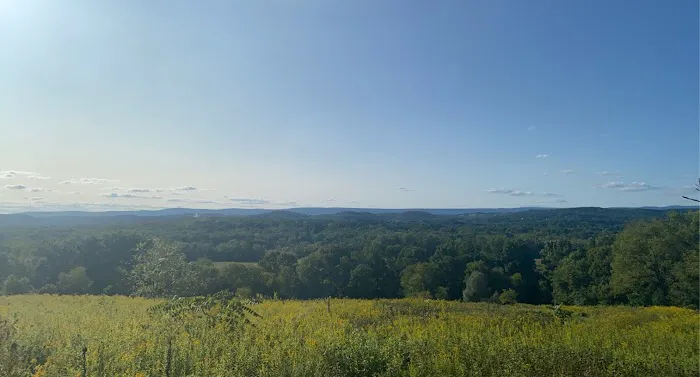 Dagmar Dale Loop Trail Picture 3