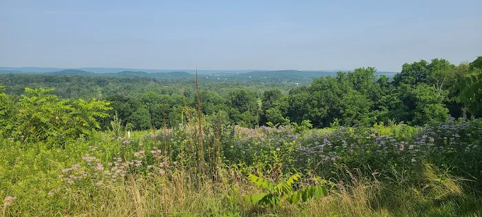 Dagmar Dale Loop Trail Picture 4