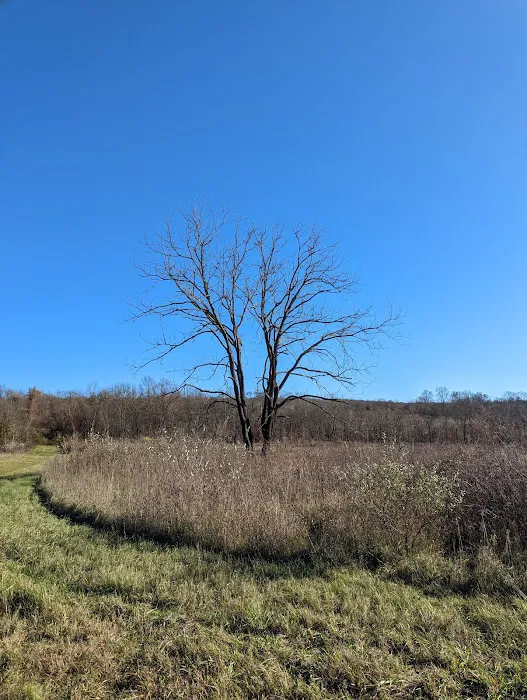 Wallkill River National Wildlife Refuge Picture 8