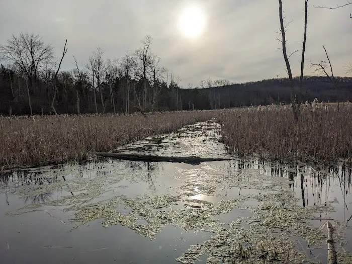Wallkill River National Wildlife Refuge Picture 10