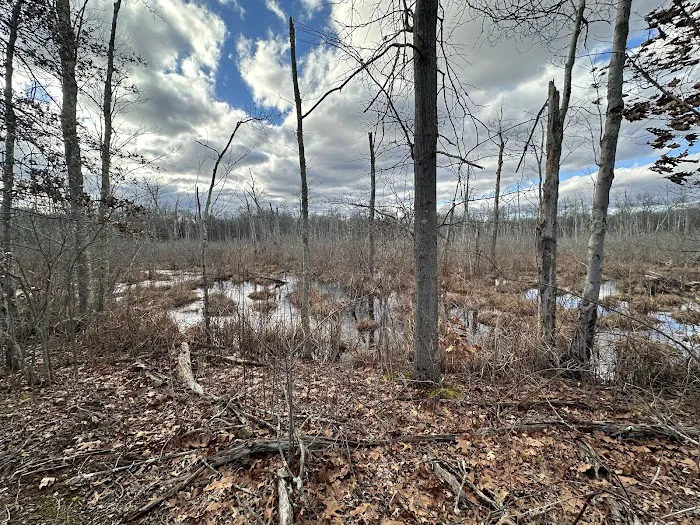 Wallkill River National Wildlife Refuge Picture 2