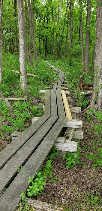 Wallkill River National Wildlife Refuge Picture 4