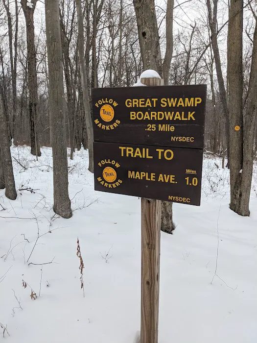 Trail Intersection: Scofield Lane - Great Swamp Boardwalk Picture 1