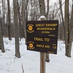 Trail Intersection: Scofield Lane - Great Swamp Boardwalk